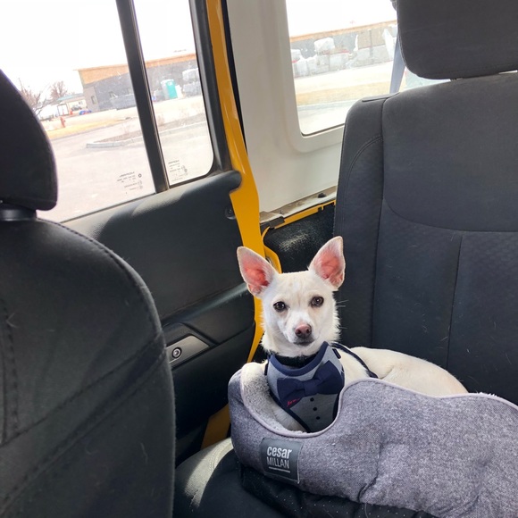 Meet your Posher, Samantha - Picture 5 of 8